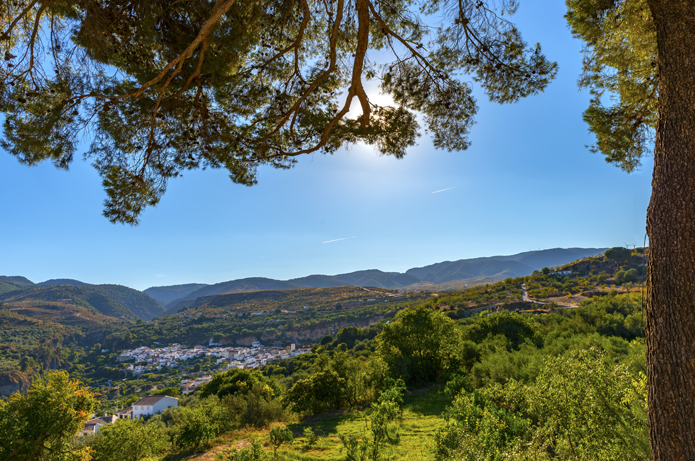 2c9b5c41bb1fabb349fb403129f13d97