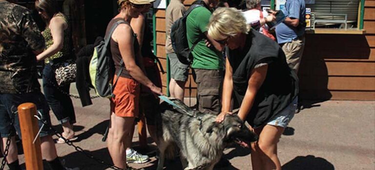 3299f5a426109a55cfac2b125697b7d0