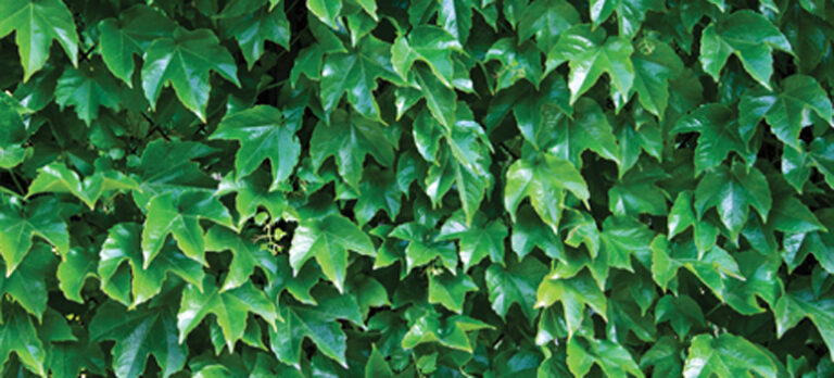 3614d3cfb8617de2878279e101c9bb05