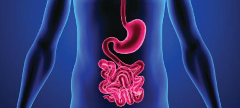 370ee5c056794df7beeb6fc243d2dcde