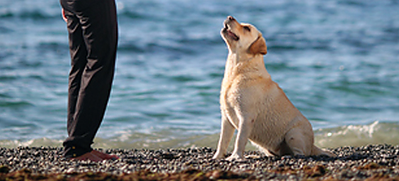 3aaee5cbb8f695513aa061aeee368cd6