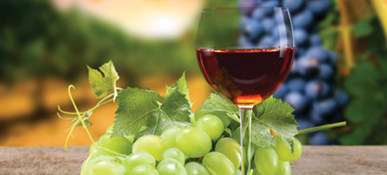 3ab1a7a8b899a8e406a45371b12a6e4f