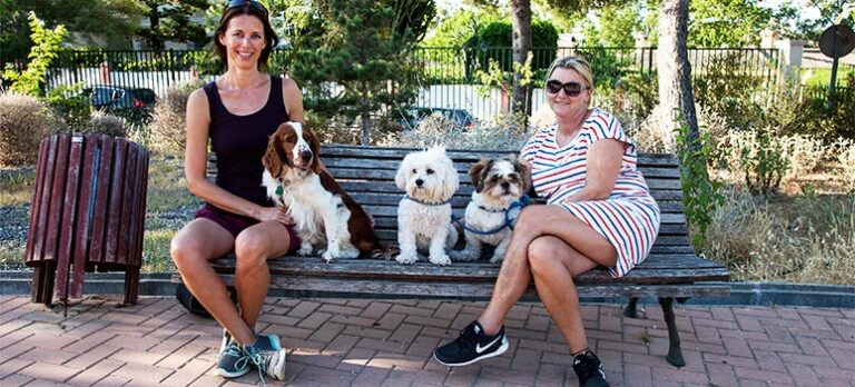 3e9b27b561fe647b960435440741204b