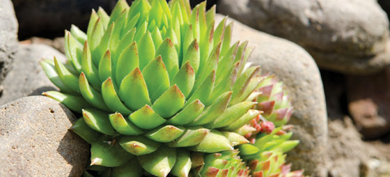 40f9ea0431eb3a318758eb857d7f7f93