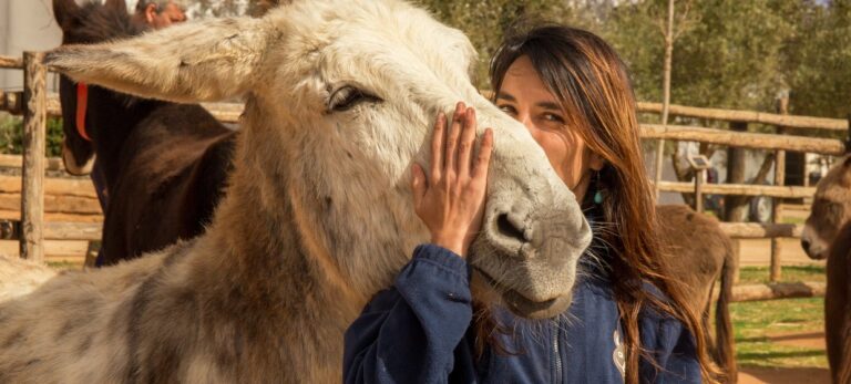 4603c590b2e2669d2d3e83e3743e4635