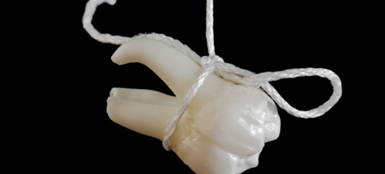 4cfcd6146e6abdc125b4589c5de8be01