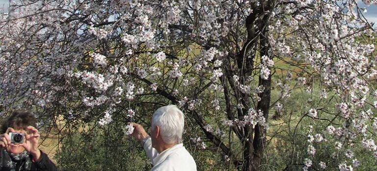 4f266247cca7813174b55d3ad59a5c96