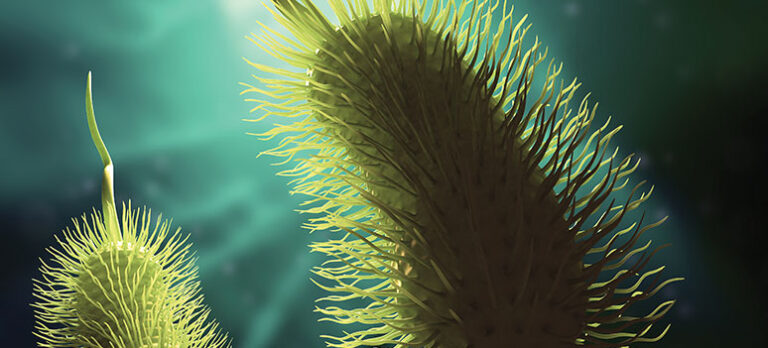 502cb1886e37a53ea409fed6abf18965