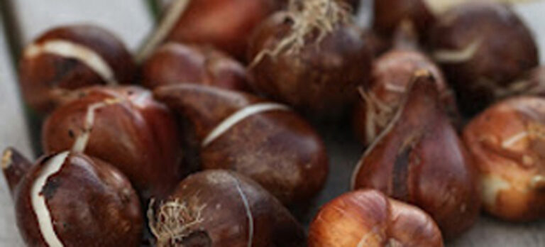 573dbee8f3e17df49e80c9c945e5abfa