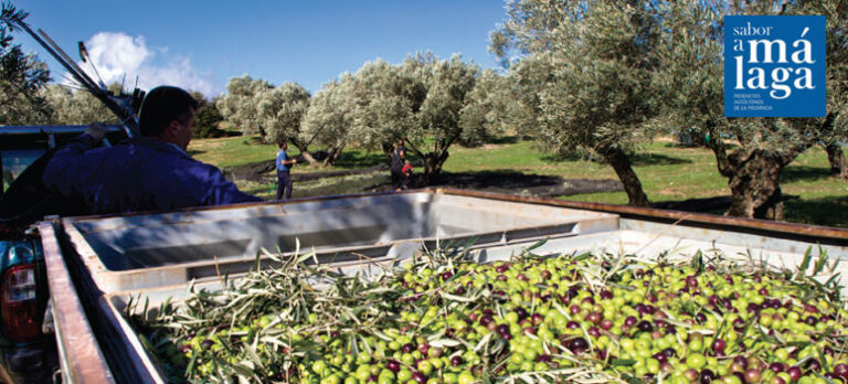 5aa83c1dba8643e6151568efd85ef4f6