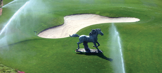 723986d1214757e96023757b7122d102