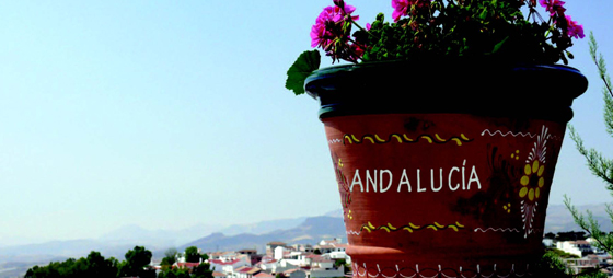 7813d3203746357c84e017e616946fa7