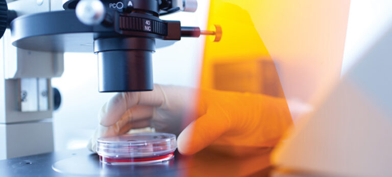 8ca078ecc1790687469da8a776e3ca59