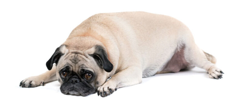 906b46b2078562b314ff27b2722249ed