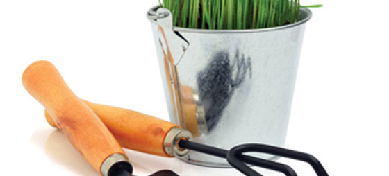 934a99d7b98de152b64c21c833420f6d