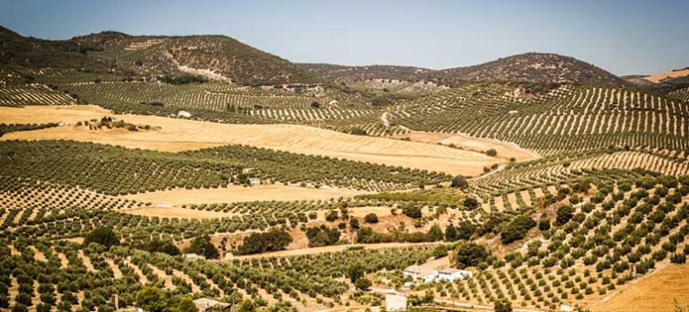 947ea2449819799f2c0448b47c2ffe75