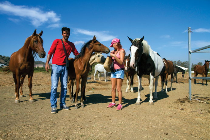 9604459f1bc12adce9f82cdd024bf1fc