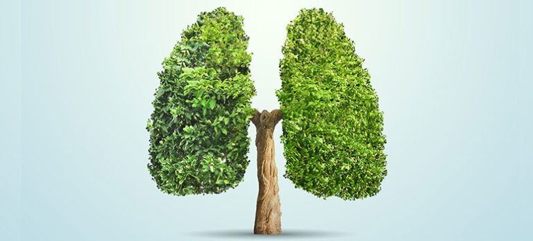 98bd7b7c2d814666de08f18f6b4075a5