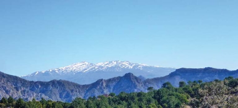 991d63bf7e7654642c37c8b19ec4a573