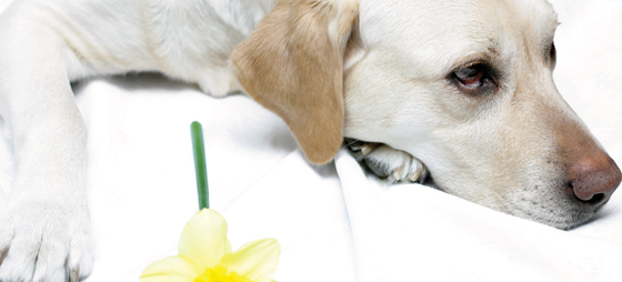 9d1b34e996121e758f973648ea8e3526