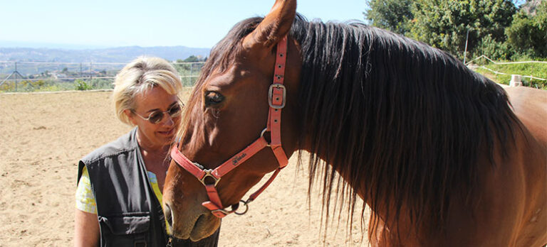 9e6e515faab1eb1420e68f38da1b5bad