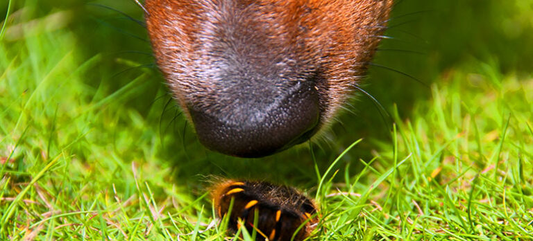 b5827347f95475f3955ee1c8198395cb