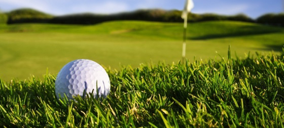 b8da94cd22ad45914d41710387f2e0d5