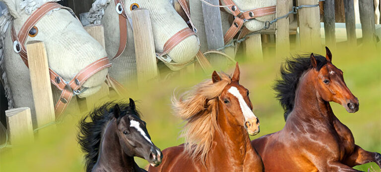 d08d15d679a97a43f82b9d082c747257