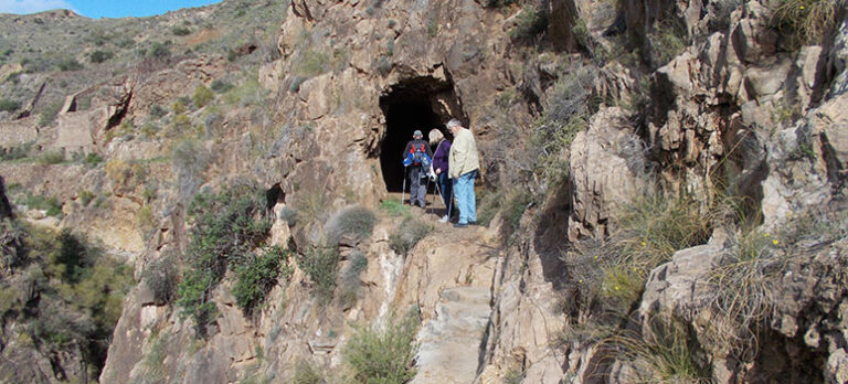 d3a48bd98b36fb92b5732477a5beaaa1