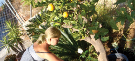 dbbbb9dca73b7df4243e7875e73b6784