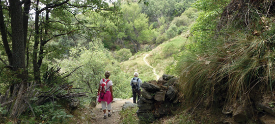 de3c176ec37b4eb3169ada4d6b066458