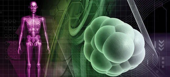 e8b5ece5a67f31f8481e363b67ffee64