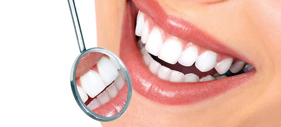 eddd8f1c5e8f175b9167f65cae5b6701