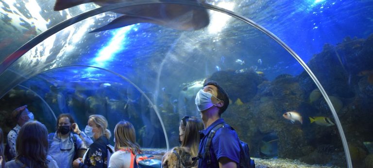 567e50f0321aaef564390fa0ec716aa9