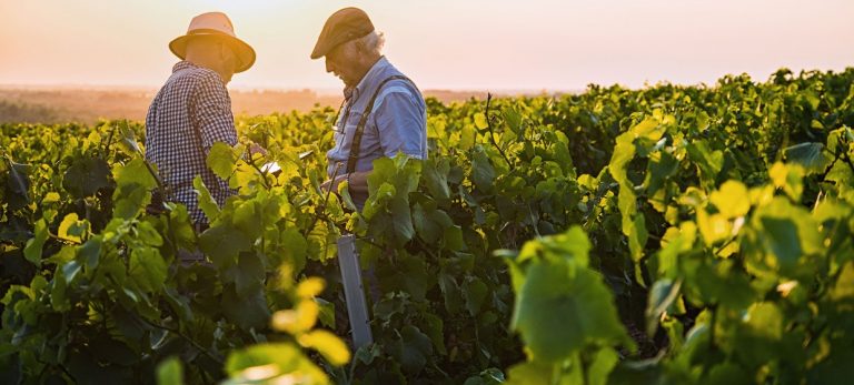 7014399dae7e6ca6f98b627e32c75ebe