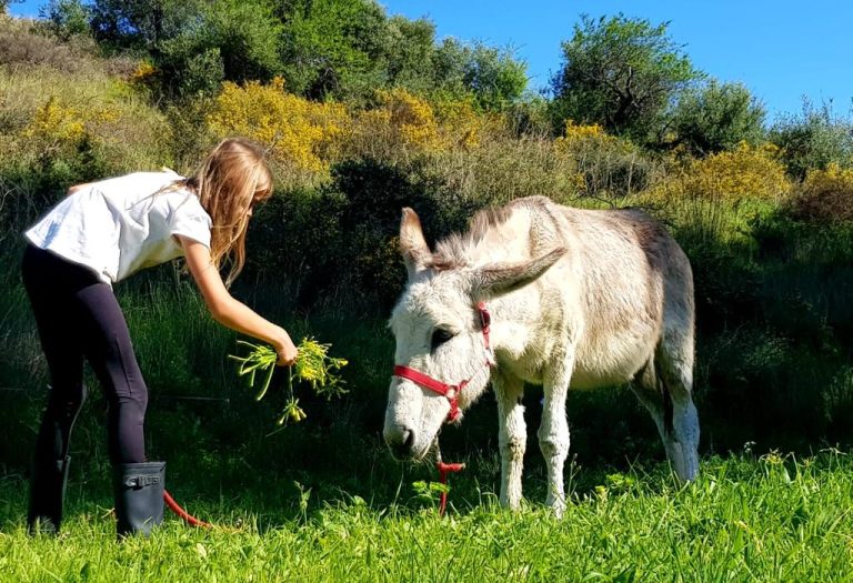 Familiedag i det andalusiske innlandet – bare 5 min. fra kysten