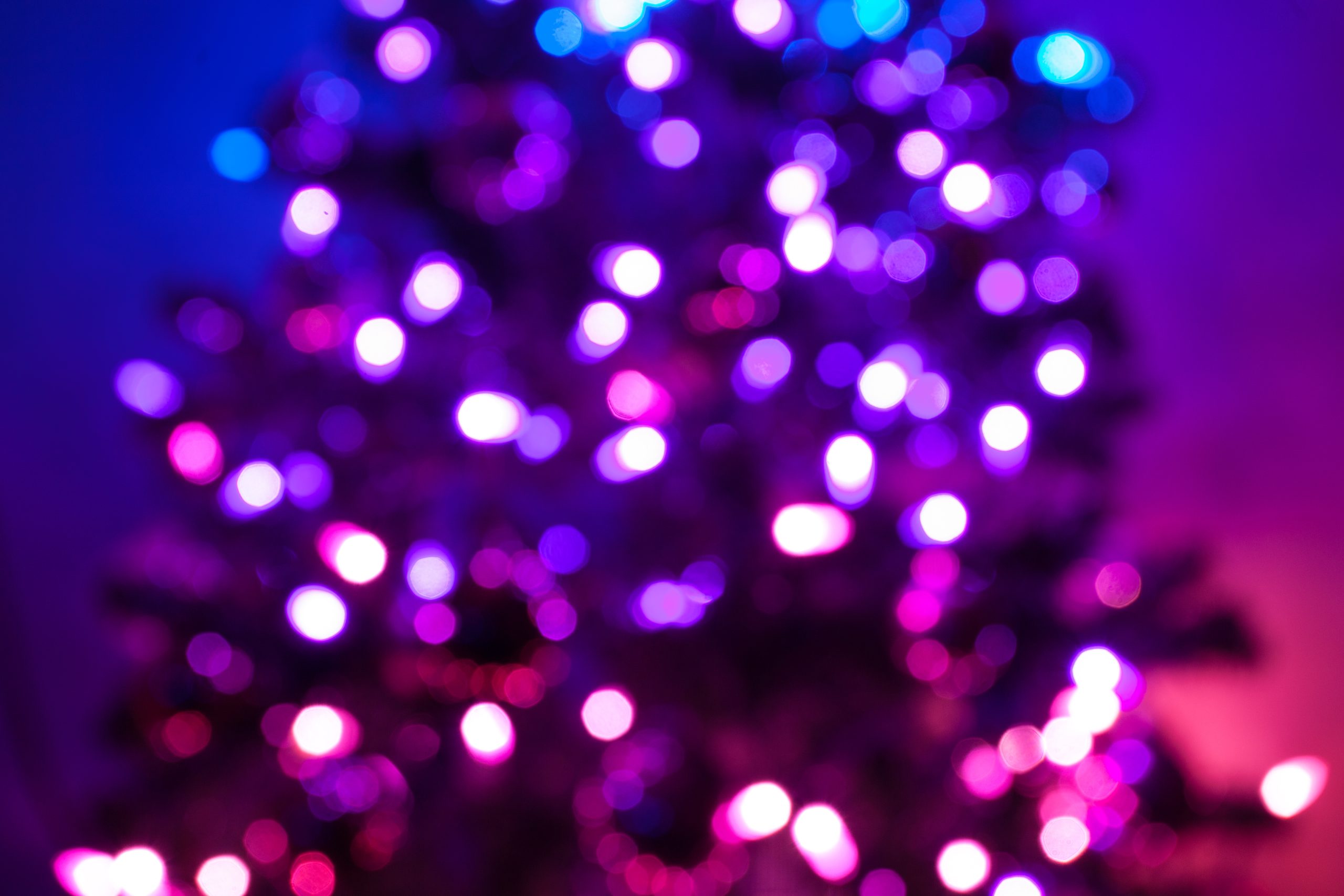 Defocused,Holiday,Tree,Lights.