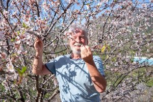 Ut og se mandlene blomstre