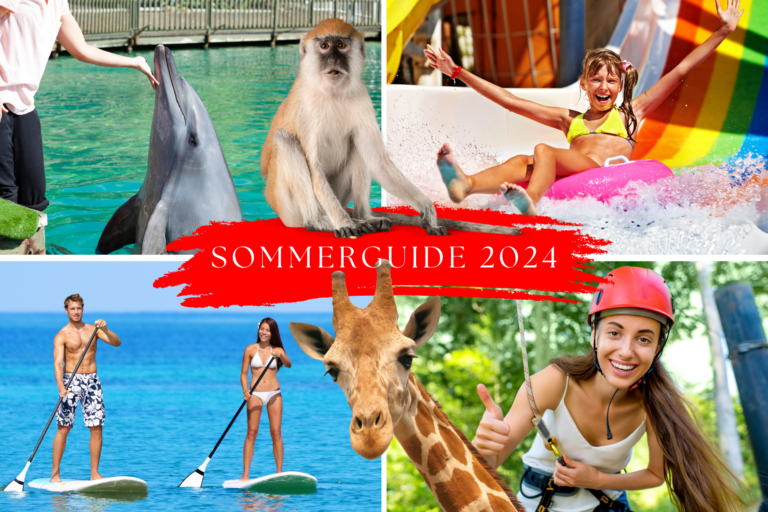 DK-NO-SOMMERGUIDE-2024